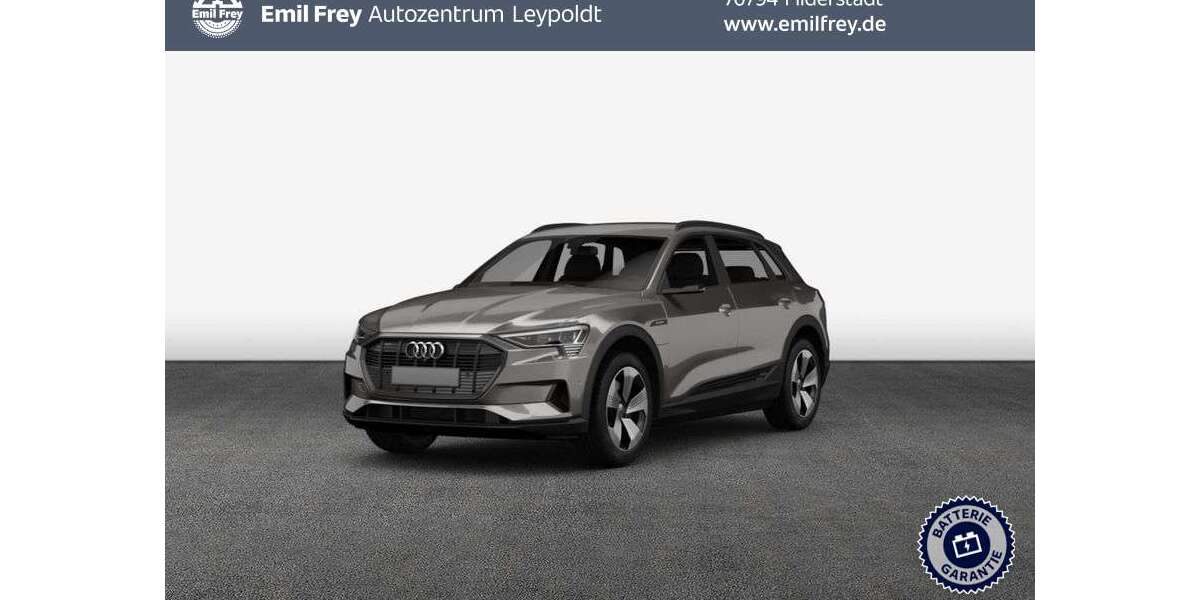 Audi e-tron 68.958 km 36.890 &euro; Filderstadt 70794