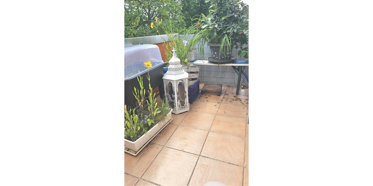 Schnucklige, 1-Zi.-Whg. mit EBK, Balkon und Stellplatz in Freiberg a.N. zu verkaufen - Etagenwohnung Freiberg Freiberg | Angebot:16895736