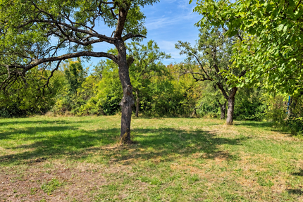 Grundstück Stuttgart Hedelfingen - 28.500&euro; | Angebot:27577490
