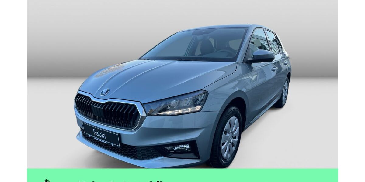 Skoda Fabia 1.111 km 20.590 &euro; Weinstadt-Endersbach 71384