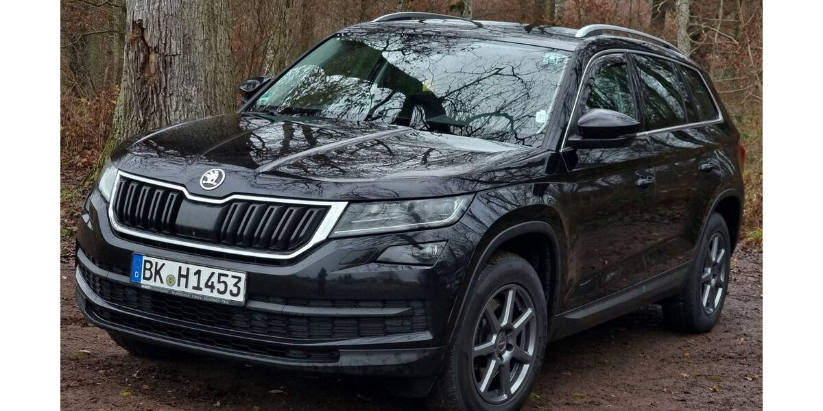 Skoda Kodiaq 173.000 km 22.290 &euro; Backnang 71522