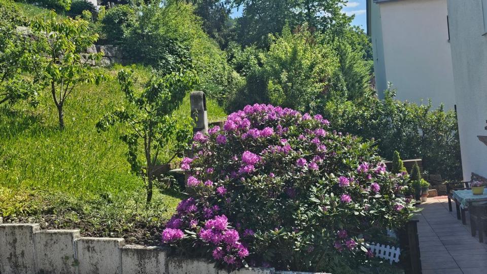 Mehrfamilienhaus, Wohnhaus Berglen - 10 Zimmer, 230 m&sup2;, 735.000&euro; | Angebot:25131584