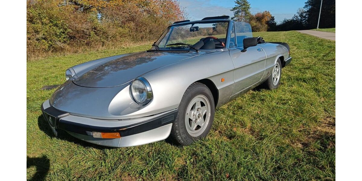 Alfa Romeo Spider 124.000 km 16.500 &euro; Grafenau 71120