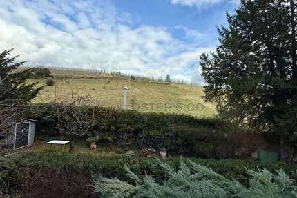 Wohnung Stuttgart / Untertürkheim Untertürkheim - 3 Zimmer, 76 m&sup2;, 319.000&euro; | Angebot:25627185