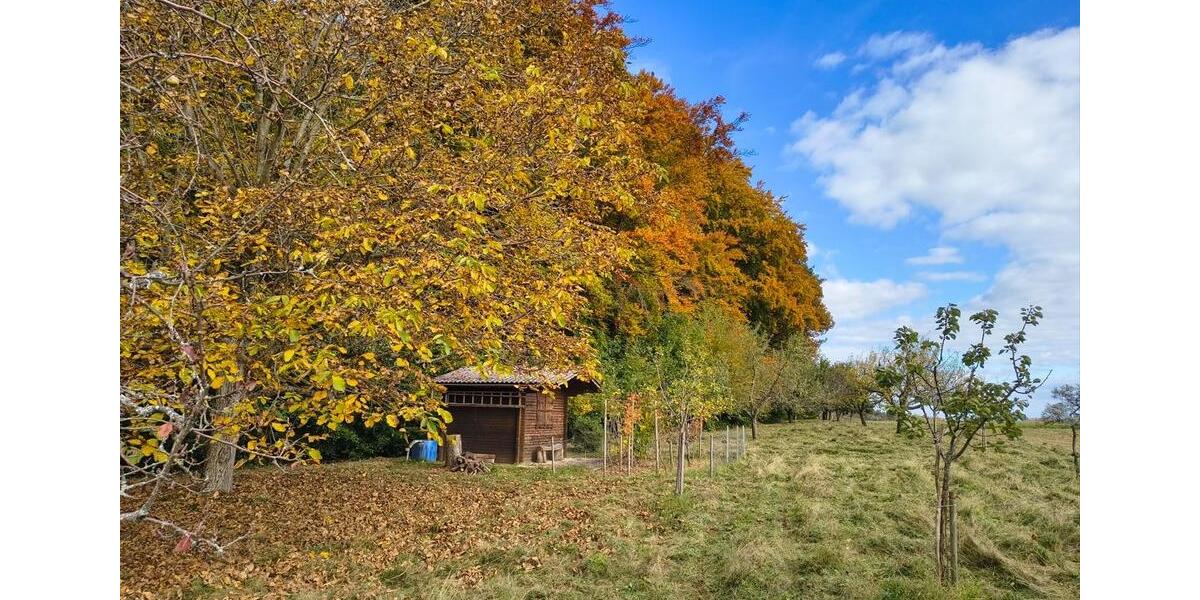 Grundstück Schorndorf - 39.000&euro; | Angebot:26359020