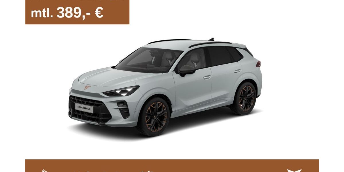 Cupra Terramar 12.500 km 45.750 &euro; Weinstadt-Endersbach 71384