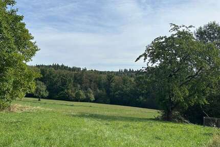 Grundstück Lichtenwald / Thomashardt Thomashardt - 380.000&euro; | Angebot:27439729