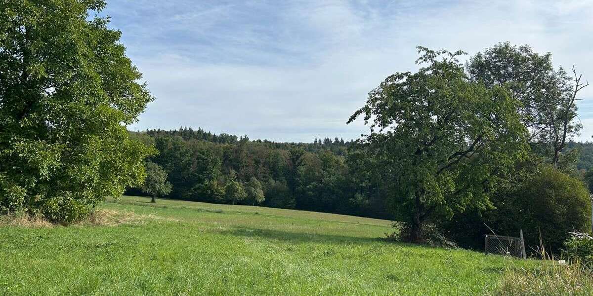 Grundstück Lichtenwald / Thomashardt Thomashardt - 380.000&euro; | Angebot:27439729