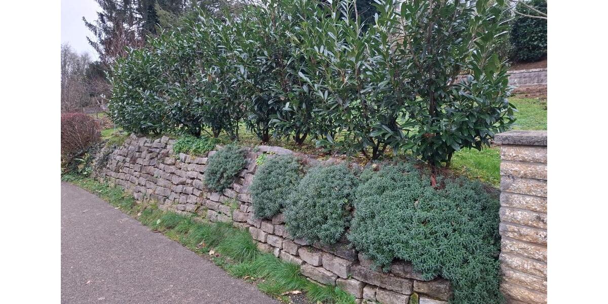 Doppelhaushälfte Wernau (Neckar) - 6.5 Zimmer, 163 m&sup2;, 640.000&euro; | Angebot:25948779