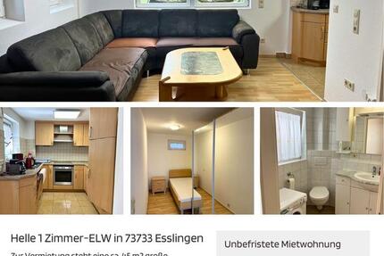 Wohnung Esslingen am Neckar Brühl - 1.5 Zimmer, 45 m&sup2;, 850&euro; | Angebot:25930072