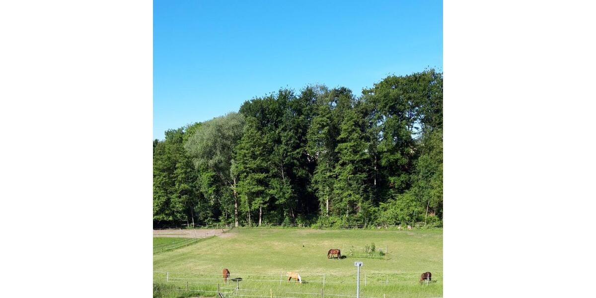 Dachgeschoßwohnung Auenwald - 4.5 Zimmer, 117 m&sup2;, 345.000&euro; | Angebot:25932901