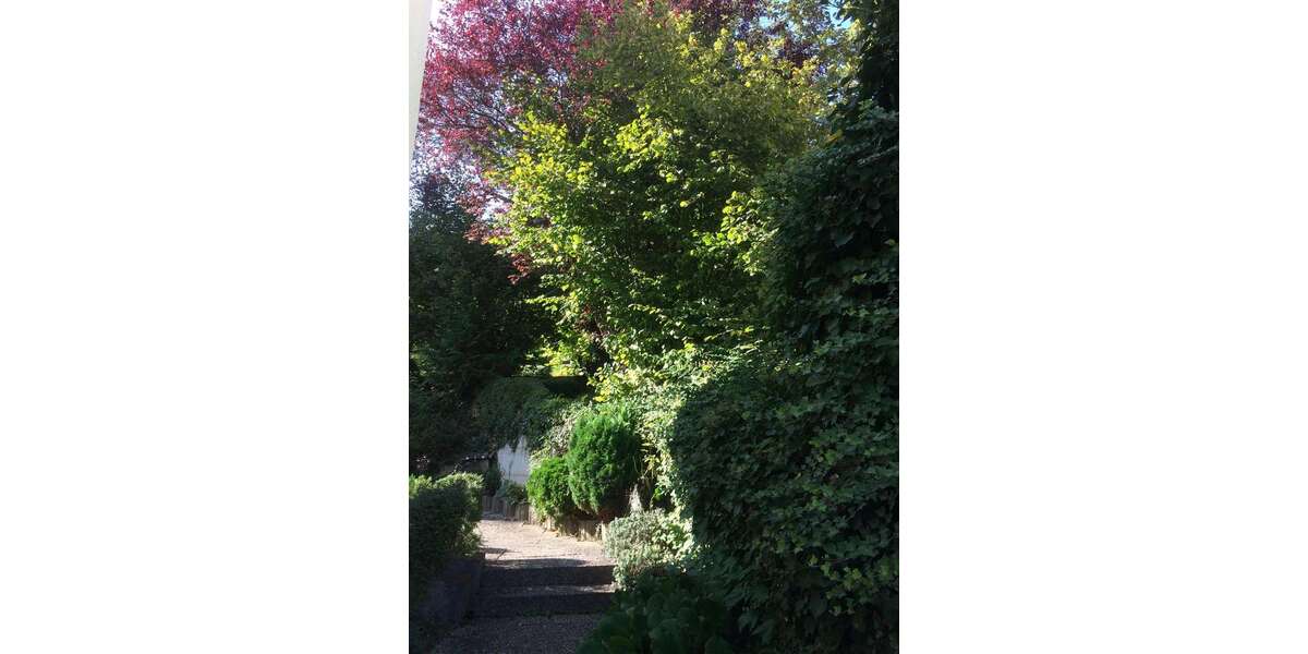 Etagenwohnung Stuttgart-Kaltental Kaltental - 1 Zimmer, 16 m&sup2;, 450&euro; | Angebot:26630684