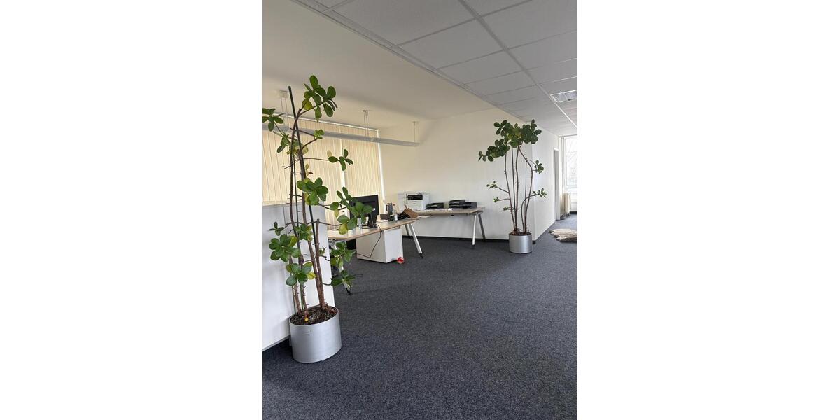 Gewerbeobjekt Ditzingen - 700&euro; | Angebot:24865250