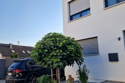 Haus Marbach am Neckar - 6 Zimmer, 150 m&sup2;, 749.000&euro; | Angebot:25907299