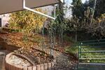 Erdgeschoßwohnung Esslingen am Neckar Hegensberg - 1.5 Zimmer, 45 m&sup2;, 450&euro; | Angebot:27569549