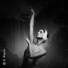 Grand Classic Ballet - Schwanensee - Jenseits der Bühne mit live Streichquartett 31.12.2026 Bürgerzentrum Waiblingen