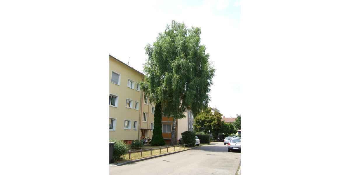 Etagenwohnung Esslingen am Neckar Hegensberg - 2 Zimmer, 50 m&sup2;, 560&euro; | Angebot:26442267