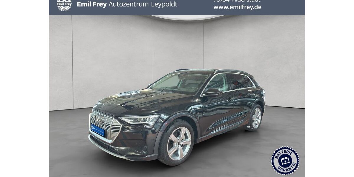 Audi e-tron 123.329 km 29.890 &euro; Filderstadt 70794