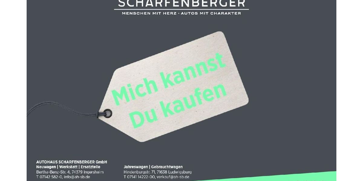 Skoda Scala 5.000 km 31.085 &euro; Ingersheim 74379