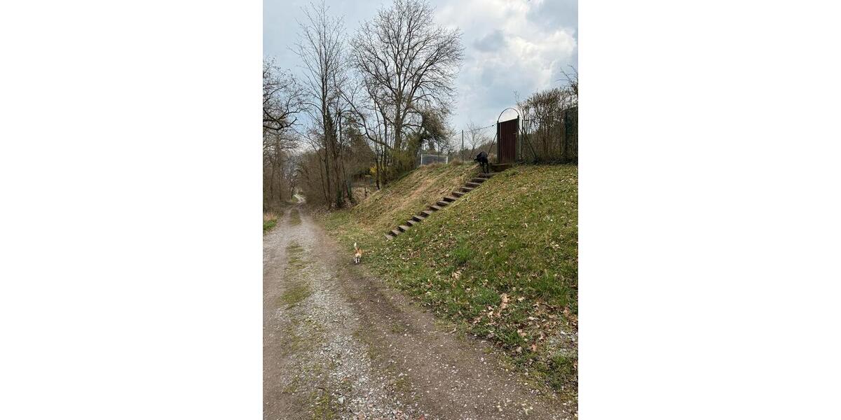 Grundstück Großbottwar - 40.000&euro; | Angebot:25059815