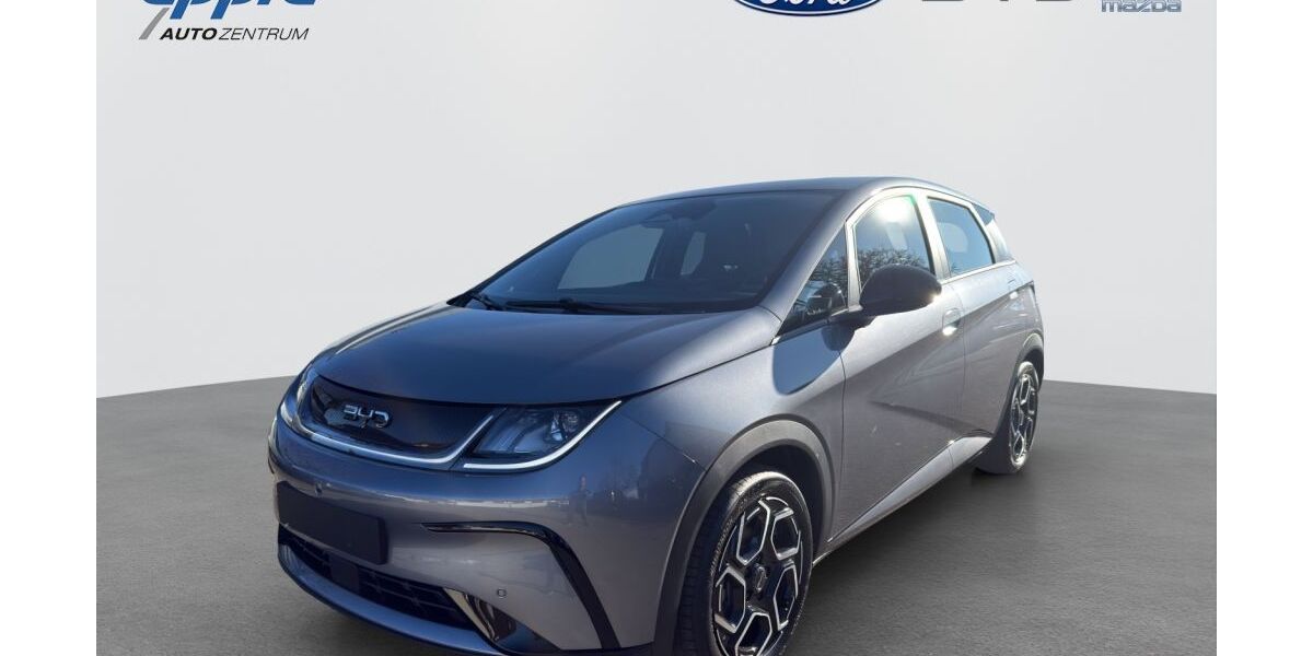 BYD DOLPHIN 1.500 km 29.990 &euro; Rutesheim 71277