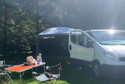 Renault Trafic 164.000 km 14.500 &euro; Gemmrigheim 74376