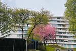 Etagenwohnung Ludwigsburg - 3.5 Zimmer, 81 m&sup2;, 279.000&euro; | Angebot:26522448