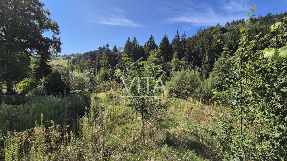 Grundstück Spiegelberg - 150.000&euro; | Angebot:22508726