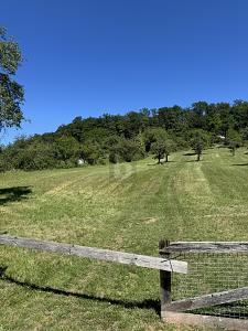 NATURIDYLLE MIT FREIZEITHAUS-OPTION - Grundstück Leonberg | Angebot:27473516