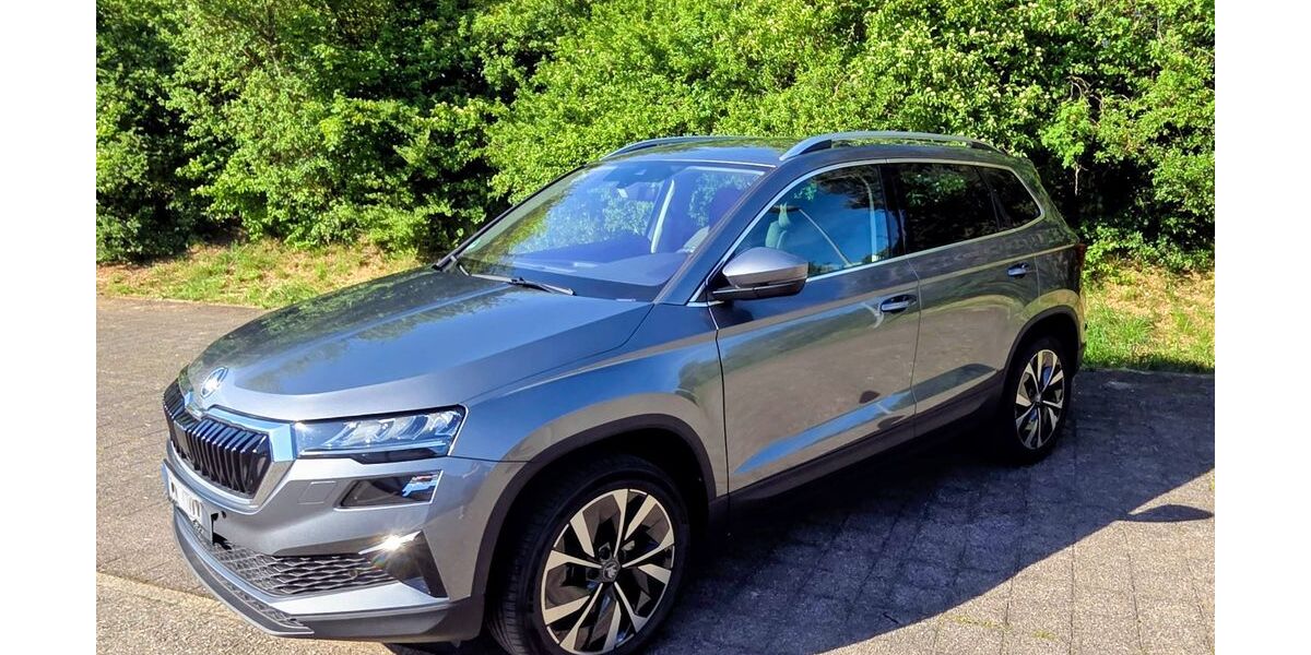 Skoda Karoq 5.999 km 29.990 &euro; Weil der Stadt 71263