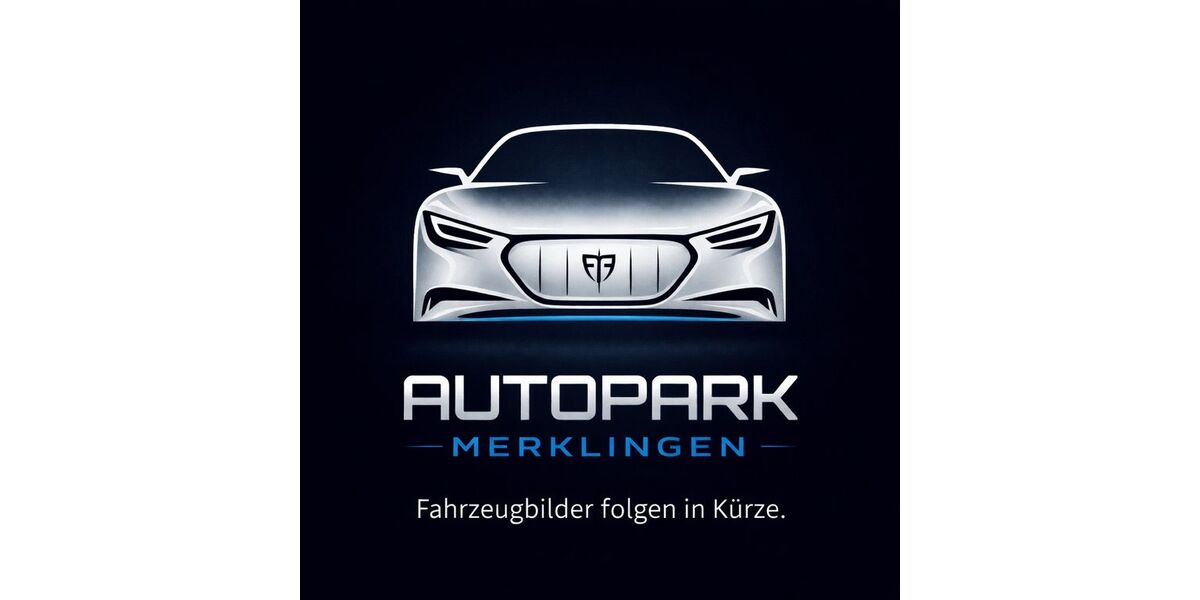 Seat Leon 157.000 km 9.499 &euro; Weil der Stadt 71263