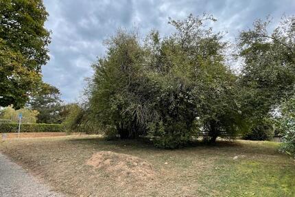 Haus Vaihingen an der Enz - 350.000&euro; | Angebot:25172331