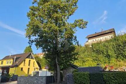 VIELSEITIGER RAUM FÜR LEBEN UND ARBEIT IN TOP-LAGE - Grundstück Steinheim an der Murr | Angebot:27522131