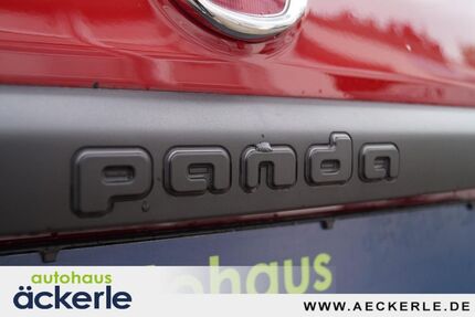 Fiat Panda 43.000 km 12.990 &euro; Korb 71404