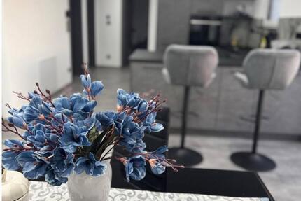 Wohnung Lehrensteinsfeld - 3 Zimmer, 77 m&sup2;, 1.850&euro; | Angebot:24396283