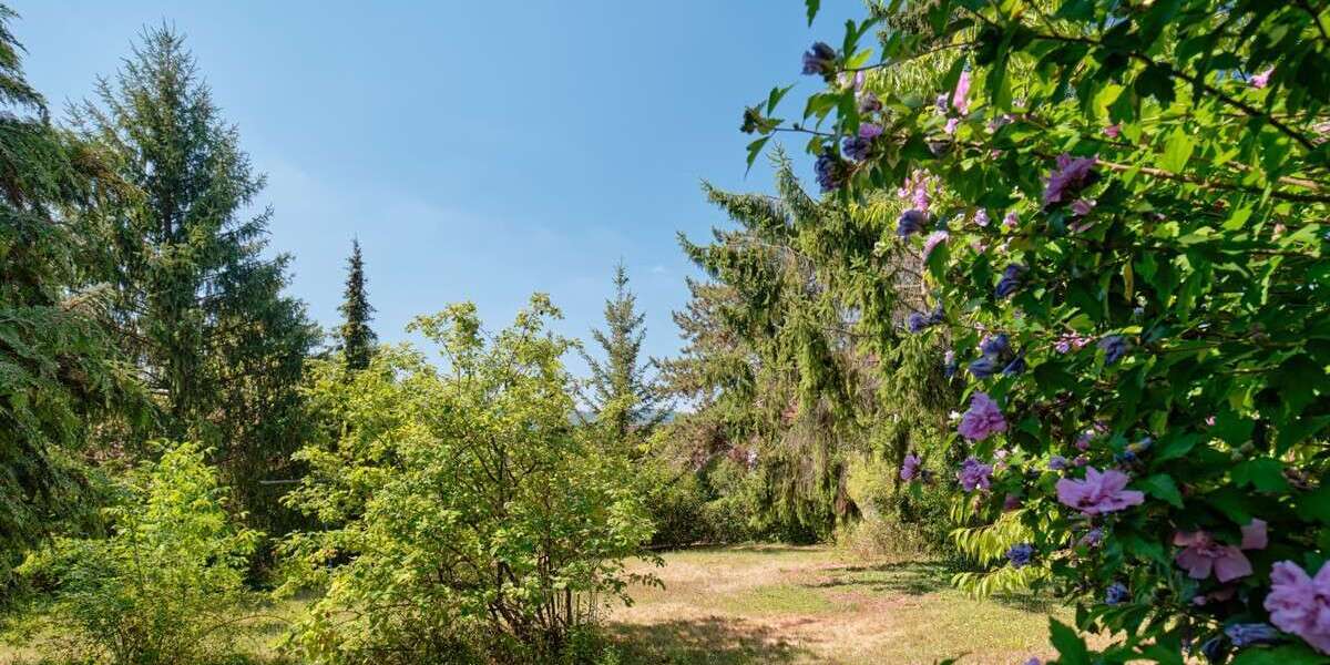 Grundstück Schorndorf - 283.000&euro; | Angebot:27172349