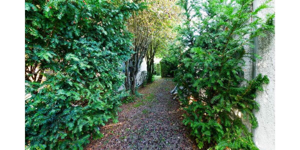 ImmoBillia: Heute Potenzial, morgen das Lieblingszuhause! - Einfamilienhaus Brackenheim | Angebot:27473480