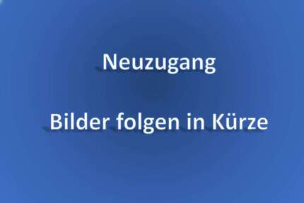 Seat Leon 148.000 km 14.600 &euro; Sindelfingen 71065