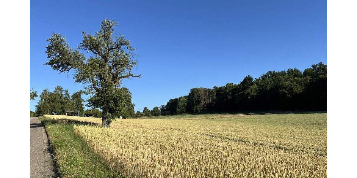 Doppelhaushälfte Weissach Flacht - 6 Zimmer, 164 m&sup2;, 799.000&euro; | Angebot:25687671