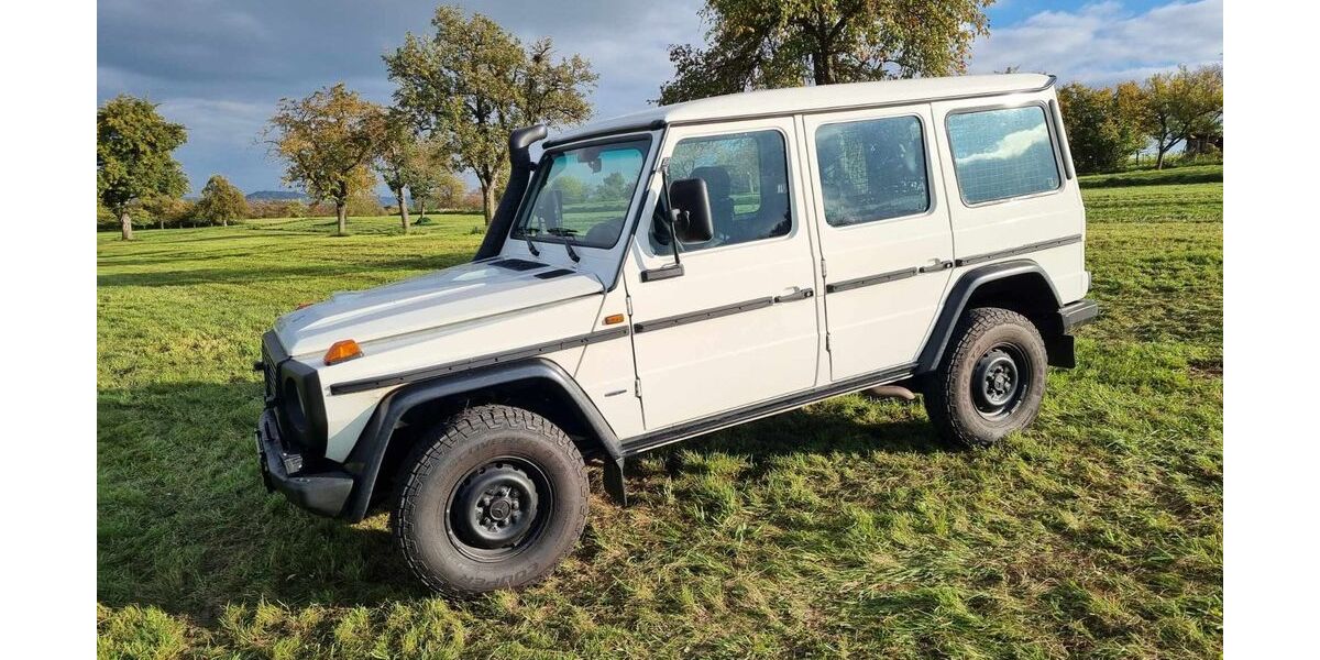 Mercedes-Benz G 300 199.980 km 58.999 &euro; Leonberg Gebersheim 71229