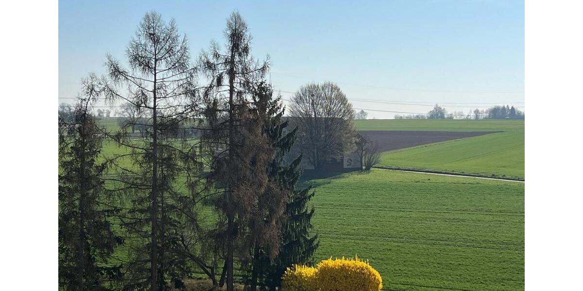 Etagenwohnung Ludwigsburg Hoheneck - 3.5 Zimmer, 97 m&sup2;, 298.000&euro; | Angebot:25831342