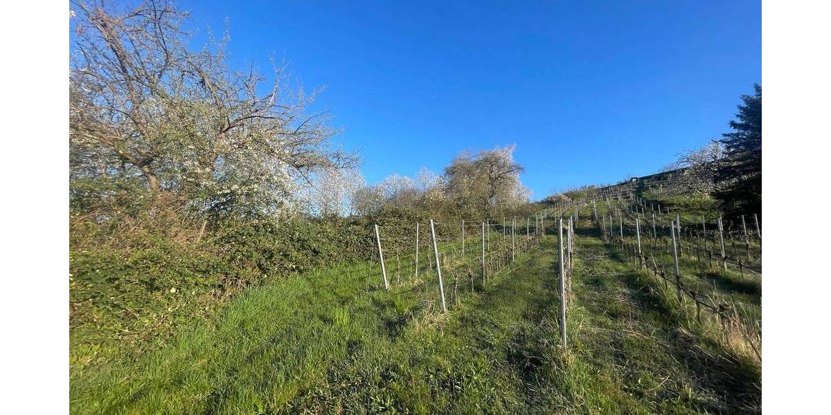 Grundstück Vaihingen an der Enz Vaihingen - 6.443&euro; | Angebot:25708063