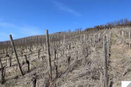 Grundstück Mühlacker - 9.500&euro; | Angebot:19745703