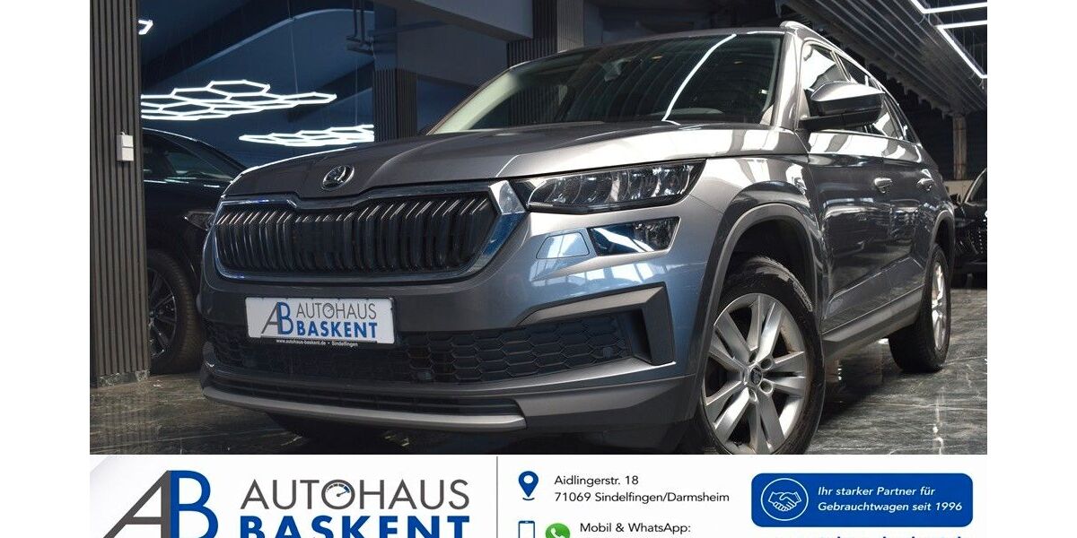 Skoda Kodiaq 180.800 km 21.390 &euro; Sindelfingen-Darmsheim 71069