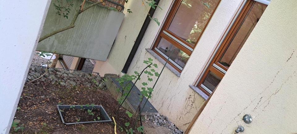 Terrassenwohnung Stuttgart Stuttgart-Nord - 1 Zimmer, 56 m&sup2;, 1.280&euro; | Angebot:26317446