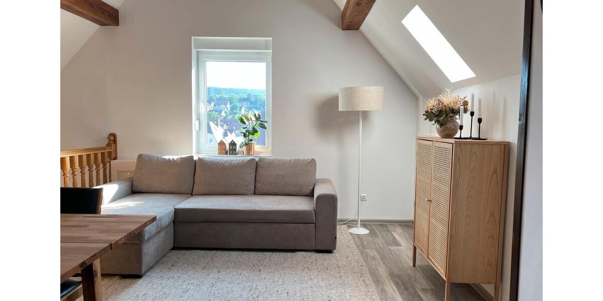 Dachgeschoßwohnung Esslingen am Neckar Brühl - 2 Zimmer, 60 m&sup2;, 1.300&euro; | Angebot:24769326