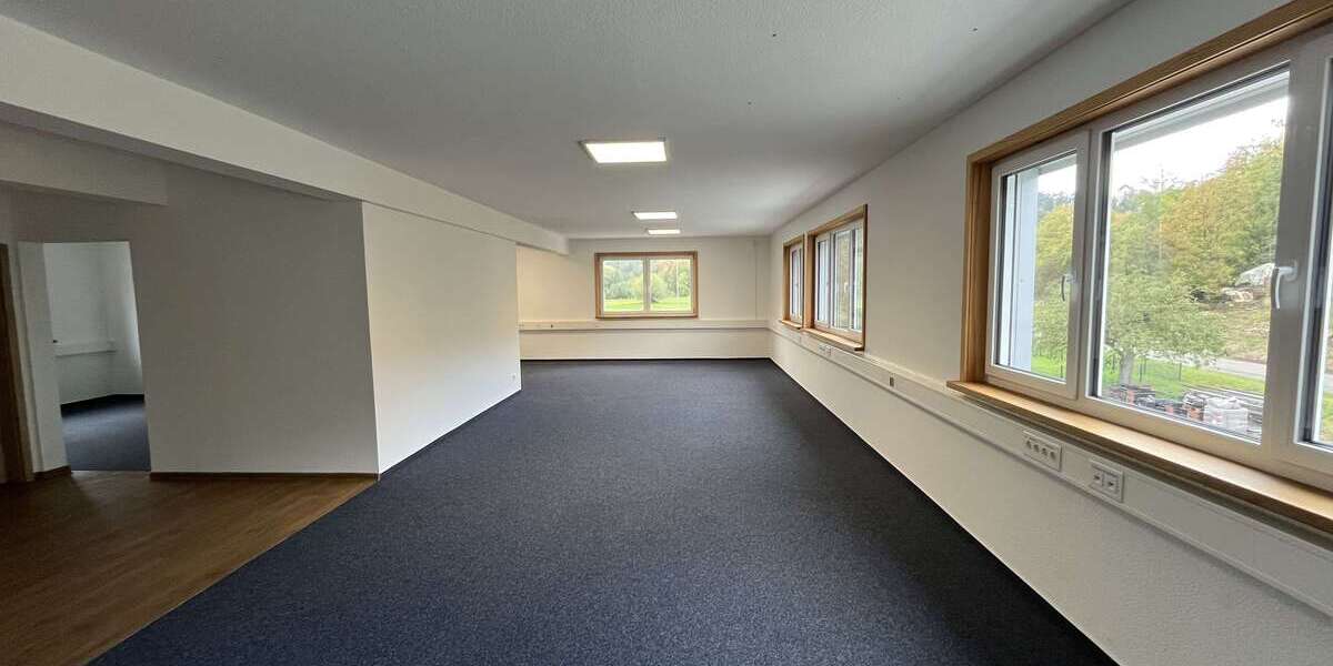 Gewerbeobjekt Vaihingen - 2.700&euro; | Angebot:25196079