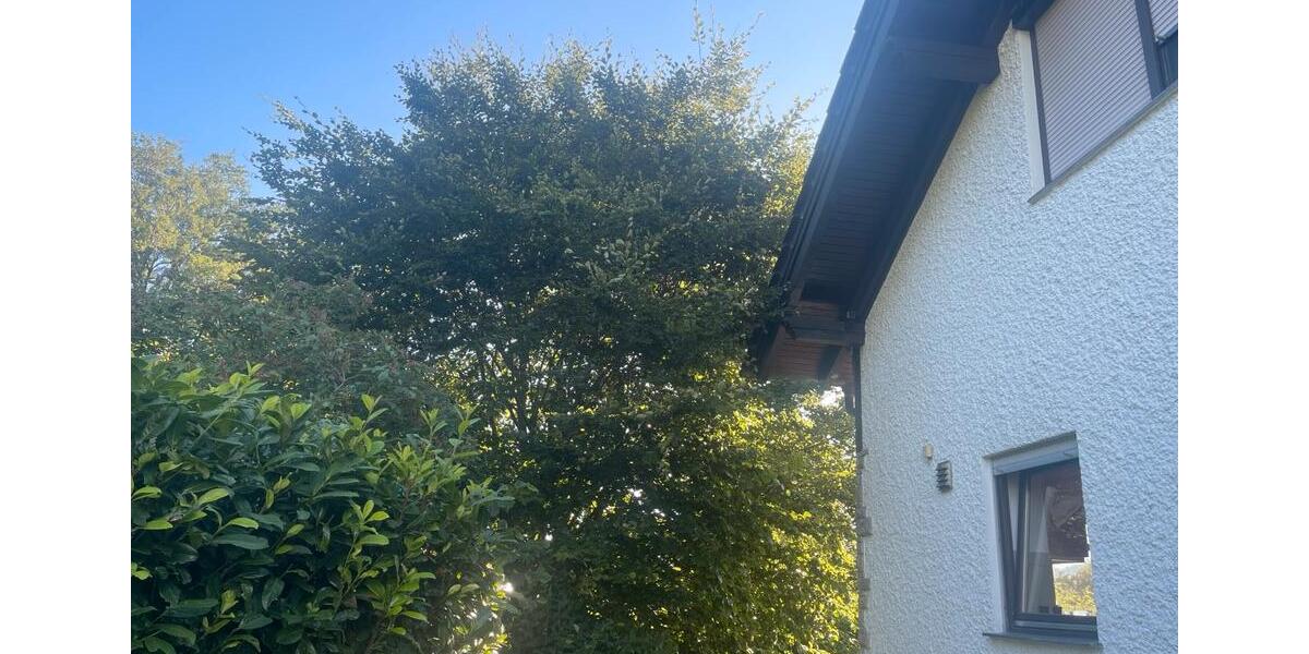 Erdgeschoßwohnung Oppenweiler - 5 Zimmer, 170 m&sup2;, 670.000&euro; | Angebot:26021009