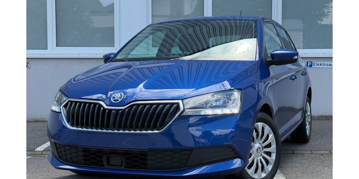 Skoda Fabia 54.917 km 9.900 &euro; Mühlacker 75417
