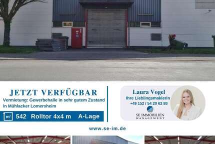 Gewerbeobjekt Mühlacker - 2.900&euro; | Angebot:26165554